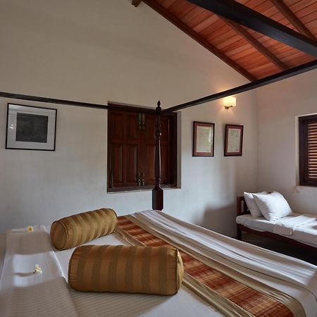 Villa Sunbird Negombo Zewnętrze zdjęcie