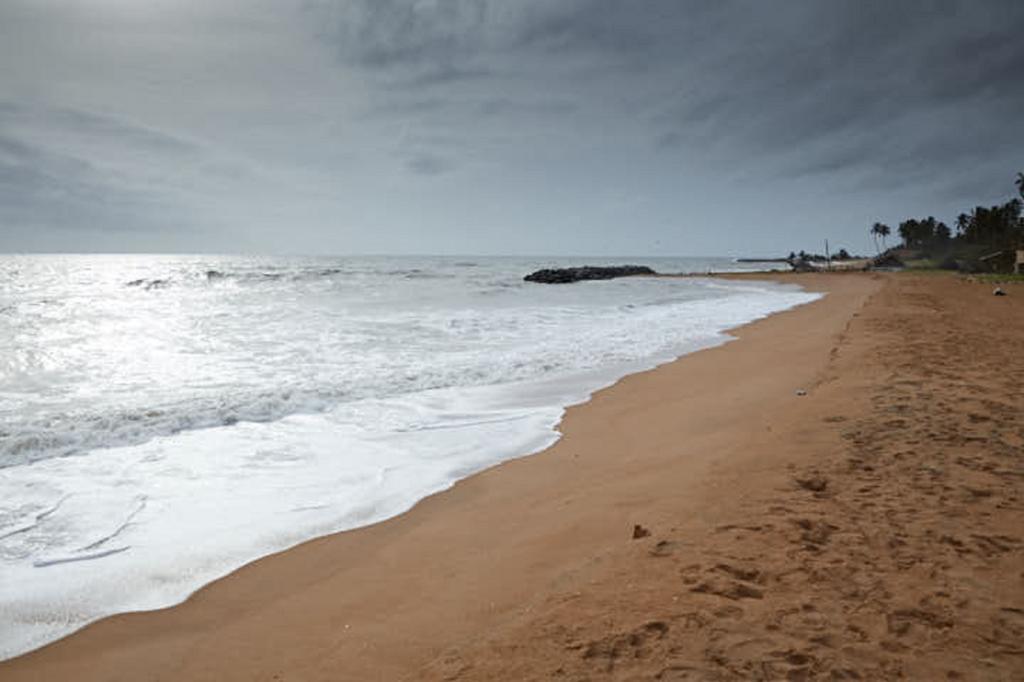 Villa Sunbird Negombo Zewnętrze zdjęcie