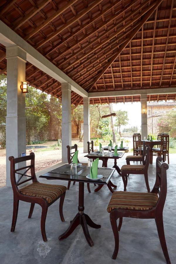 Villa Sunbird Negombo Zewnętrze zdjęcie